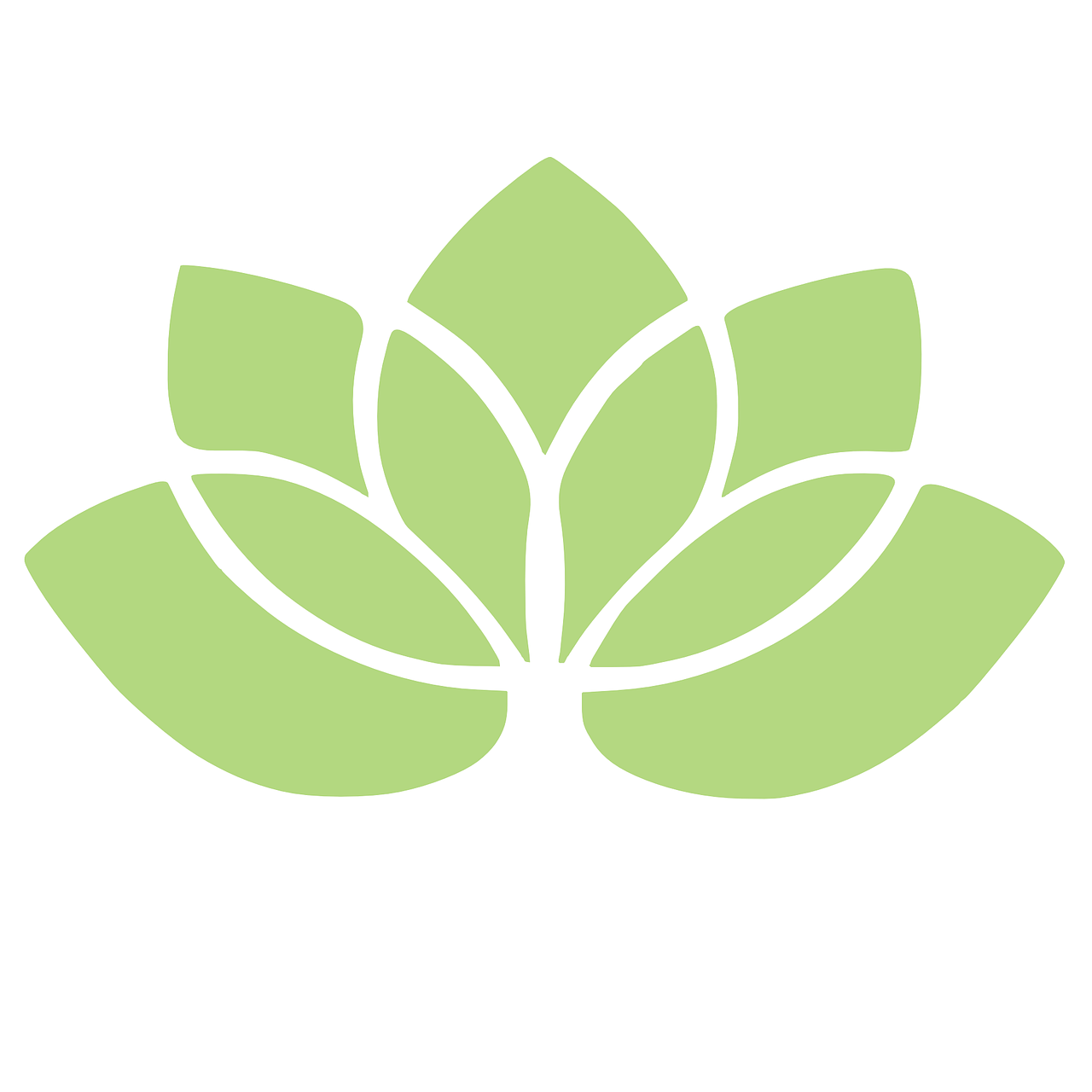 Lotus Blume Lotus Blume
